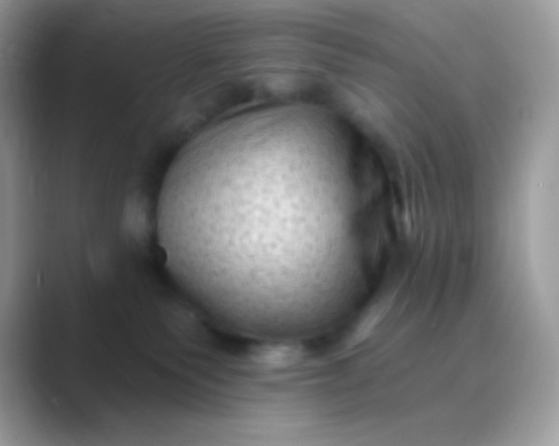 X0000089760135200707051840