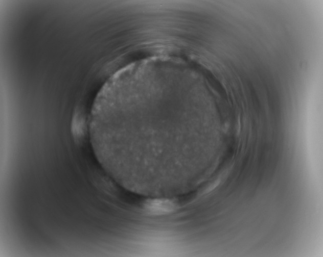 X0000089760137200707051840