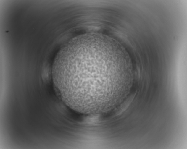 X0000089760138200707051840