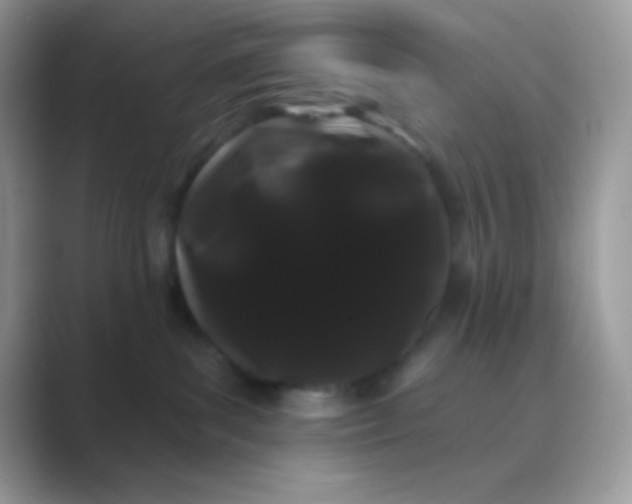 X0000089760139200707051840