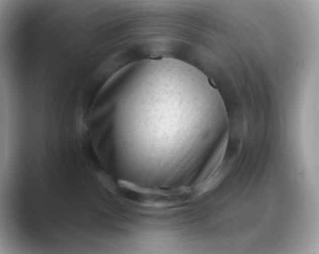 X0000089760140200707051840