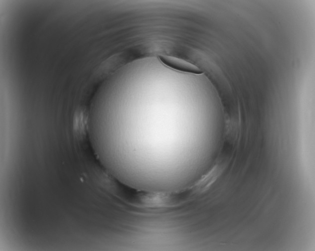 X0000089760142200707051840