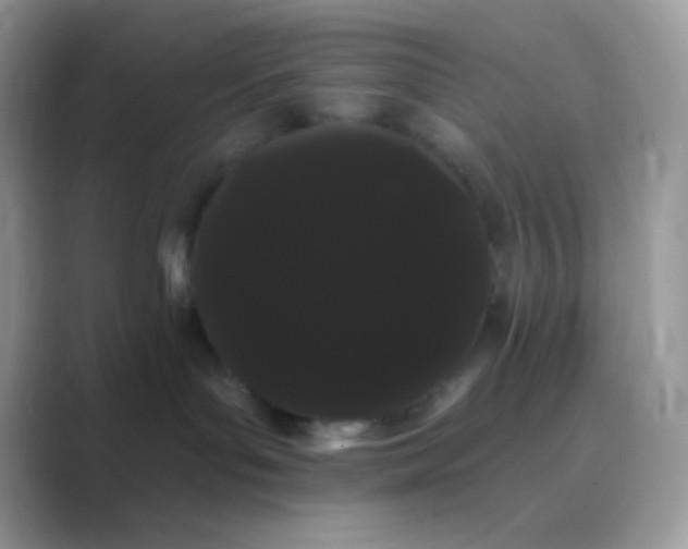 X0000089760143200707051840