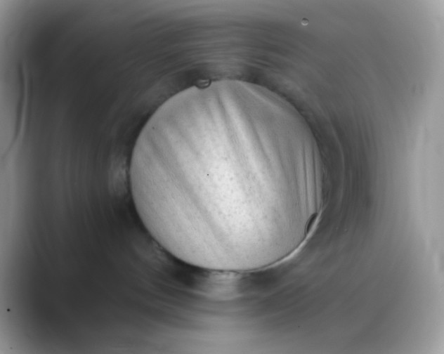 X0000089760144200707051840