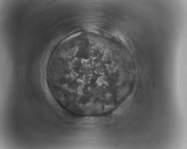 X0000089760145200707051839