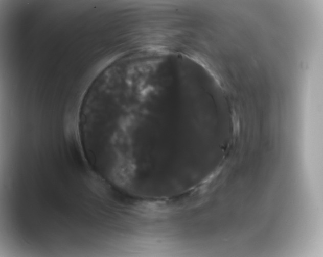 X0000089760147200707051839