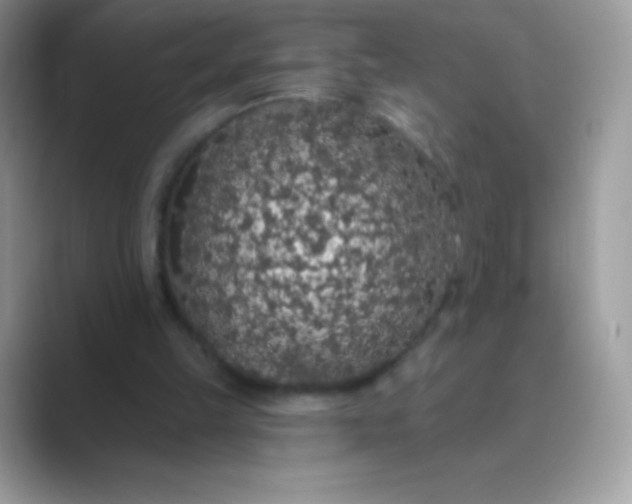 X0000089760149200707051839