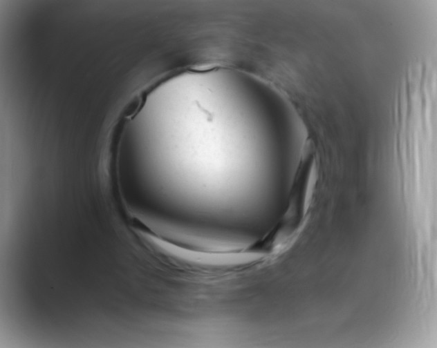 X0000089760150200707051839