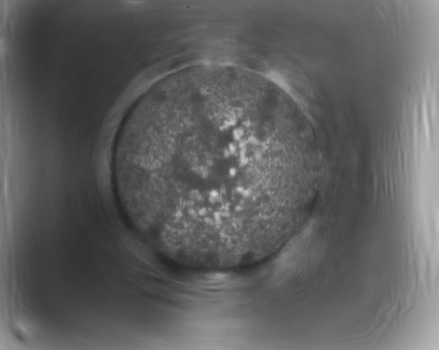 X0000089760151200707051839