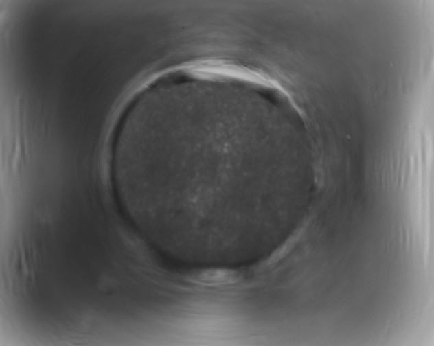 X0000089760152200707051839