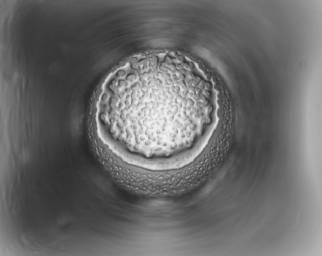 X0000089760153200707051839