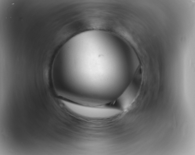 X0000089760154200707051839