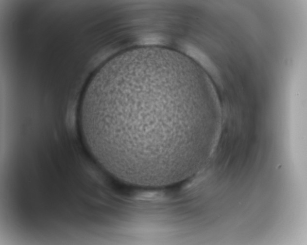 X0000089760155200707051839