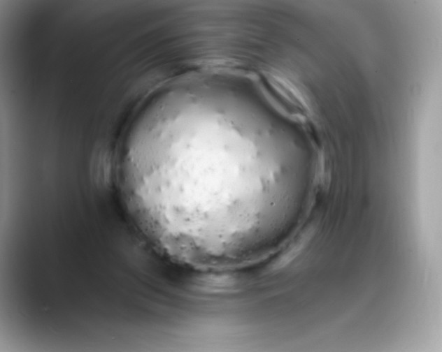 X0000089760157200707051839