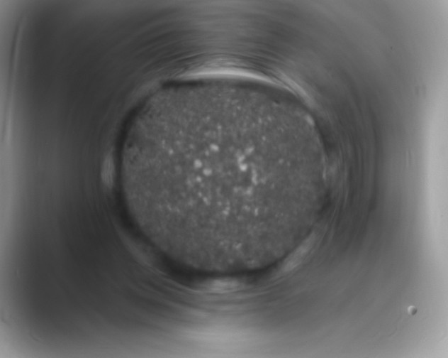 X0000089760158200707051839