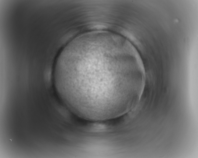 X0000089760159200707051839