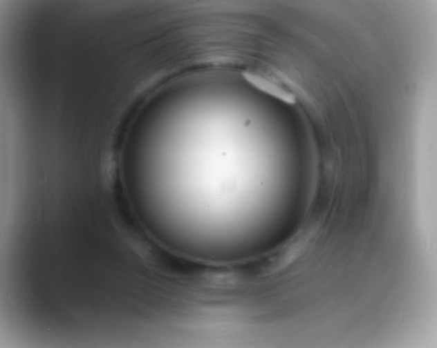 X0000089760160200707051839