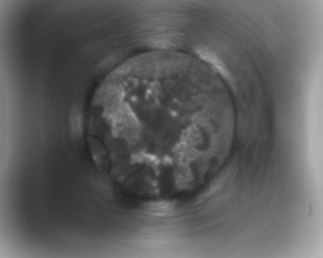 X0000089760161200707051840