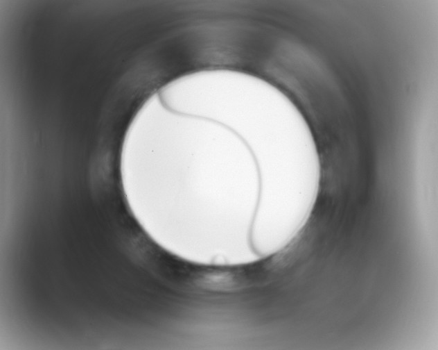 X0000089760162200707051840