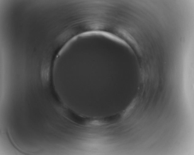 X0000089760163200707051840