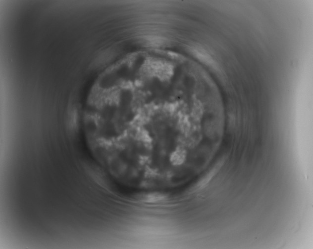 X0000089760165200707051840