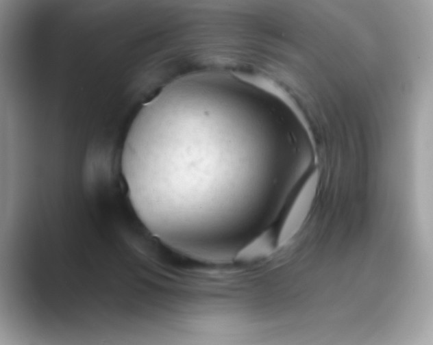 X0000089760168200707051840