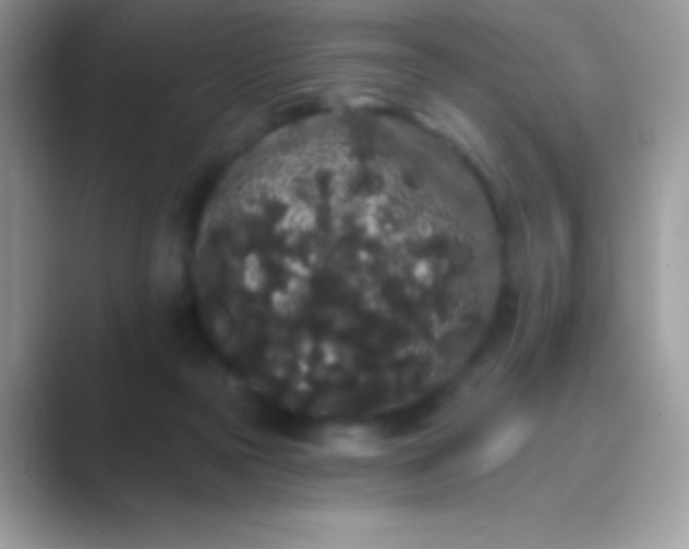 X0000089760169200707051840