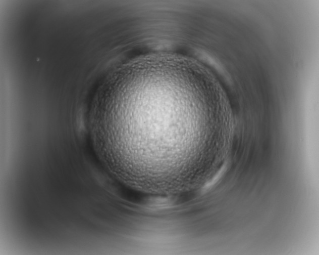 X0000089760170200707051840