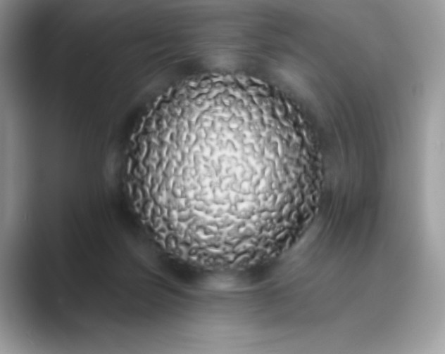 X0000089760171200707051840