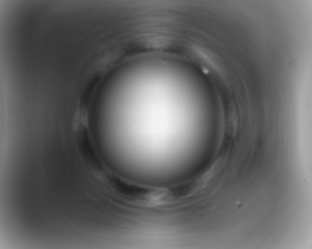 X0000089760172200707051840