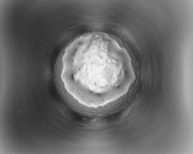 X0000089760173200707051840