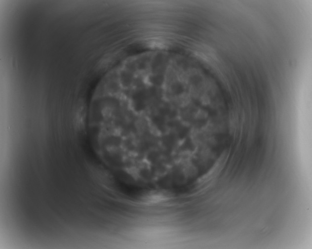 X0000089760175200707051840