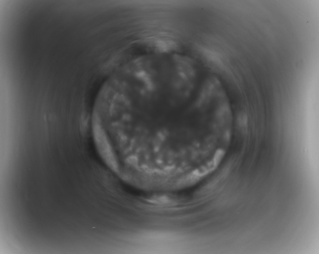 X0000089760177200707051840