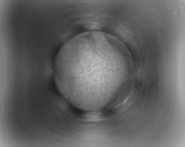 X0000089760179200707051840