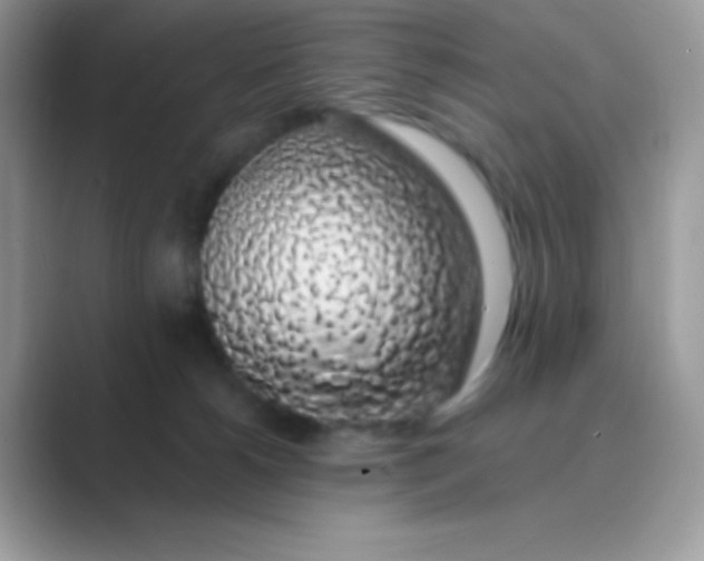 X0000089760180200707051840