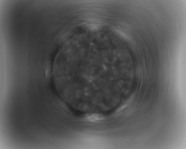 X0000089760181200707051840