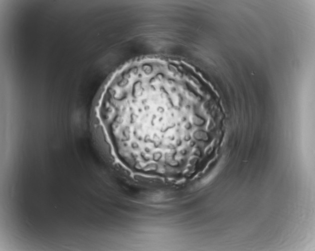 X0000089760182200707051840