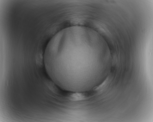 X0000089760183200707051840