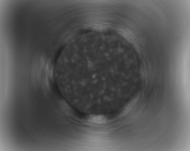 X0000089760185200707051840