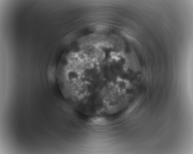 X0000089760189200707051840