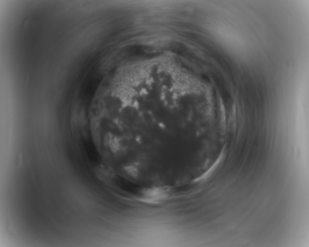 X0000089760191200707051840