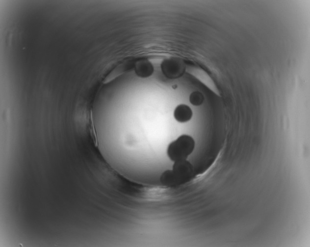 X0000089760192200707051840