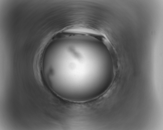 X0000089760193200707051839