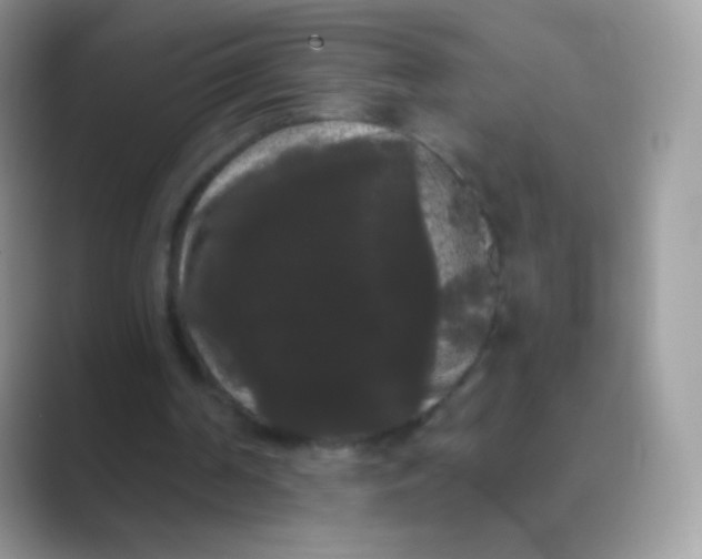 X0000089760194200707051839