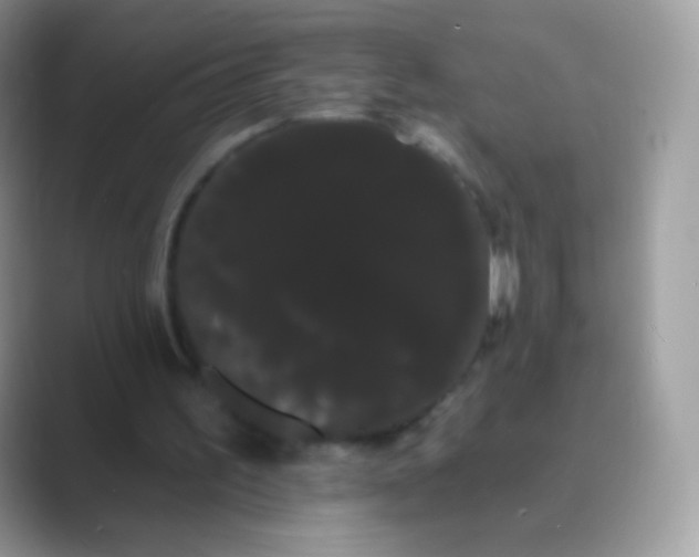 X0000089760195200707051839