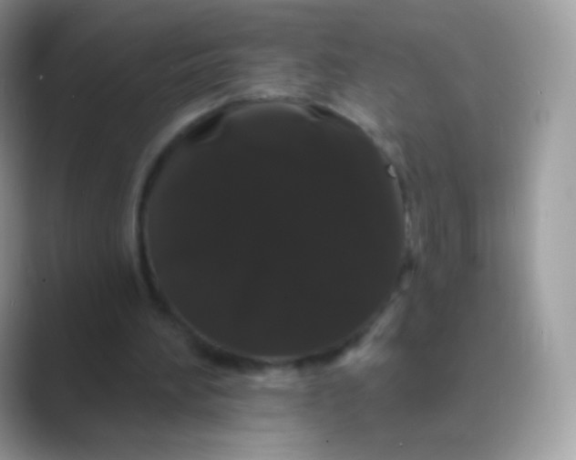 X0000089760196200707051839