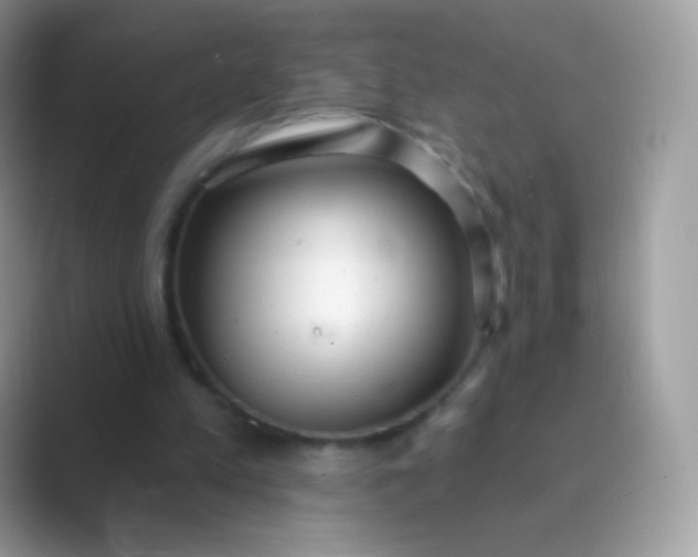 X0000089760197200707051839