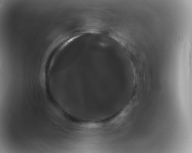 X0000089760198200707051839