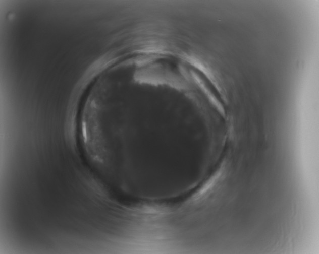 X0000089760199200707051839