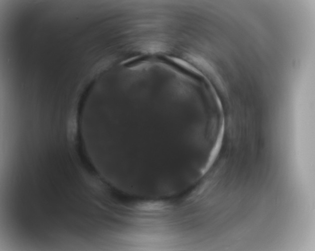 X0000089760202200707051839